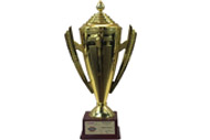 Best Multiplex of the Year-West